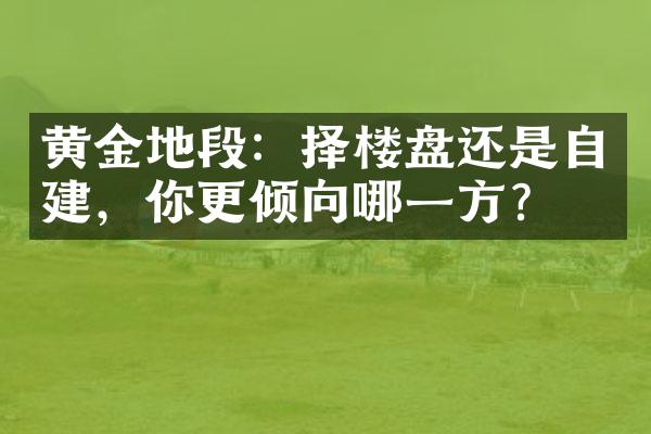 黄金地段：择楼盘还是自建，你更倾向哪一方？