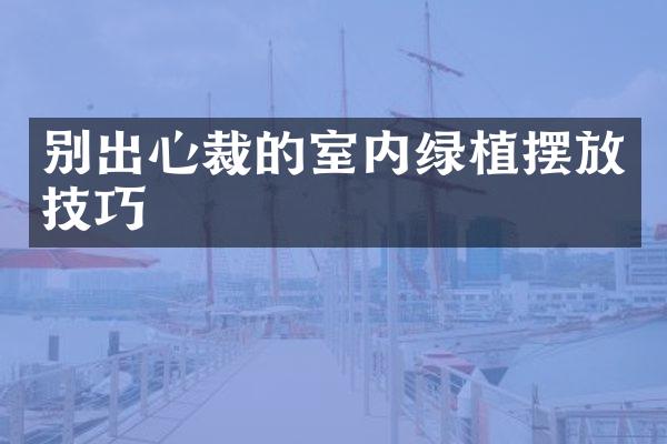 别出心裁的室内绿植摆放技巧