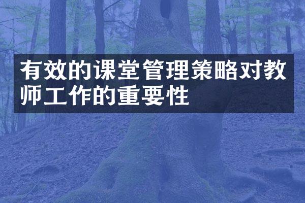 有效的课堂管理策略对教师工作的重要性