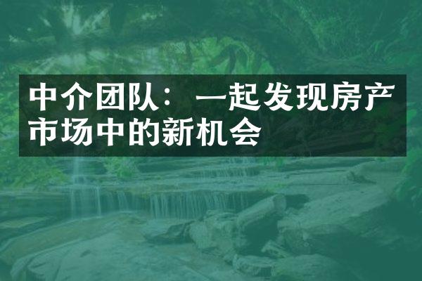 中介团队：一起发现房产市场中的新机会