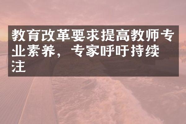 教育要求提高教师专业素养，专家呼吁持续关注