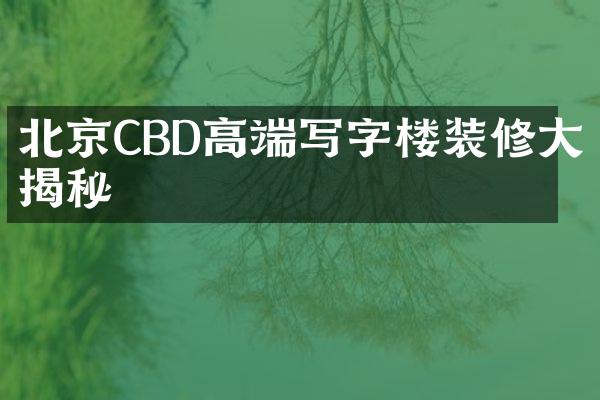 北京CBD高端写字楼装修大揭秘