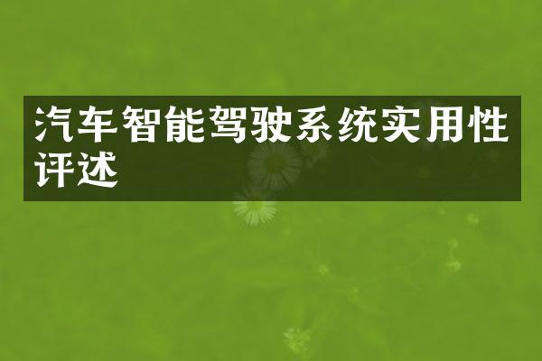 汽车智能驾驶系统实用性评述