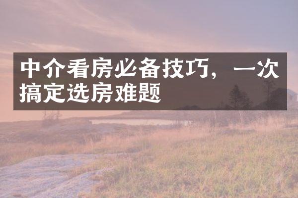 中介看房必备技巧，一次搞定选房难题