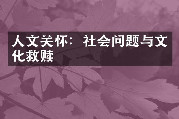 人文关怀：社会问题与文化救赎