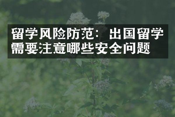 留学风险防范：出国留学需要注意哪些安全问题？