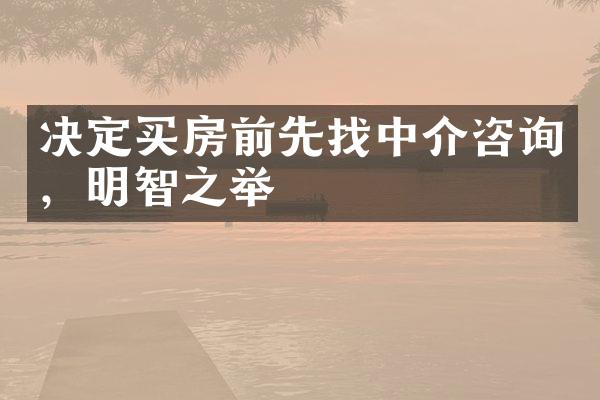 决定买房前先找中介咨询，明智之举