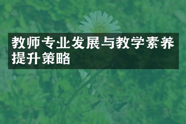 教师专业发展与教学素养提升策略