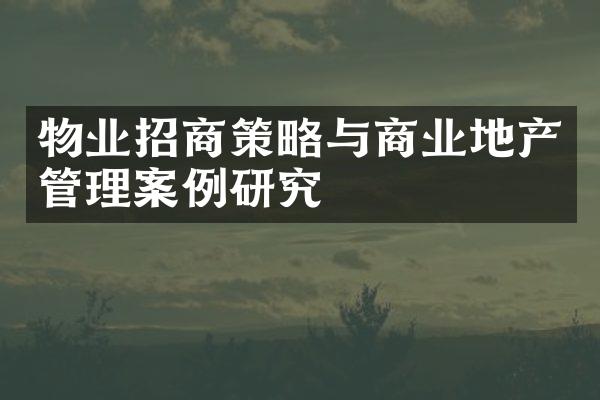 物业招商策略与商业地产管理案例研究