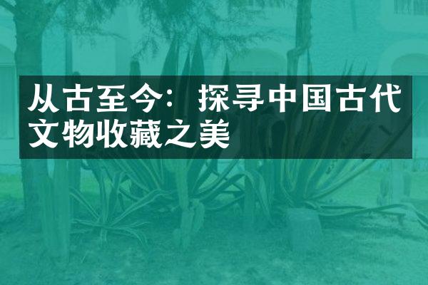 从古至今：探寻中国古代文物收藏之美