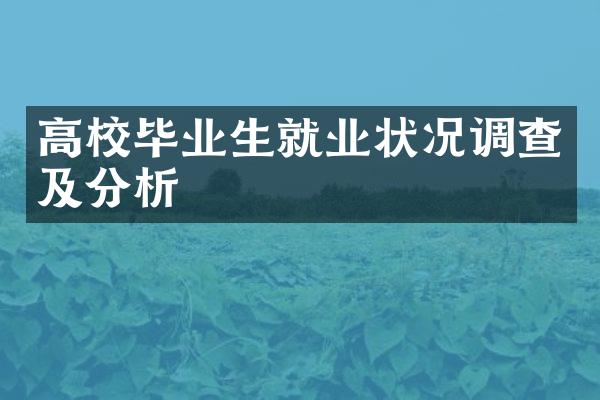 高校毕业生就业状况调查及分析