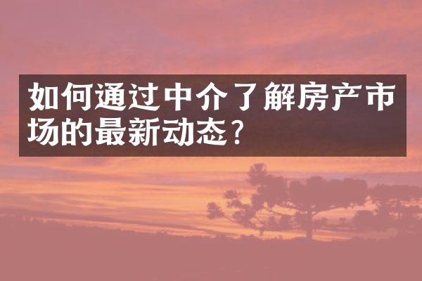 如何通过中介了解房产市场的最新动态？