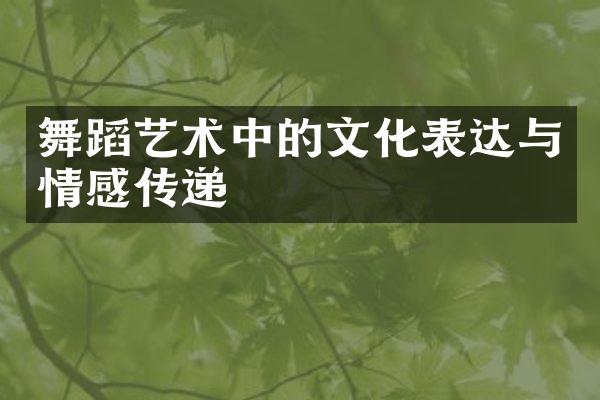 舞蹈艺术中的文化表达与情感传递