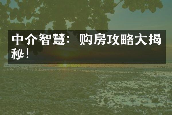 中介智慧：购房攻略揭秘！