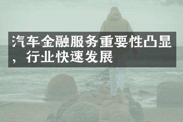 汽车金融服务重要性凸显，行业快速发展