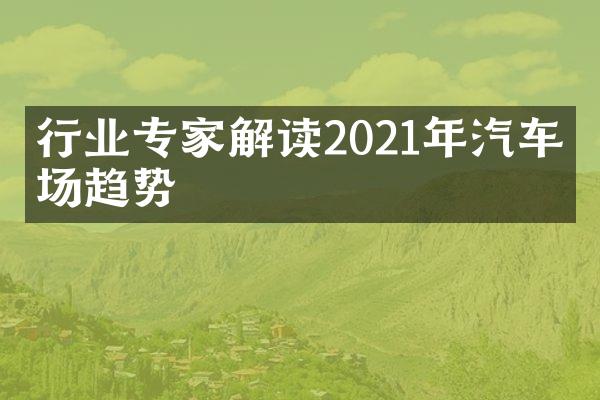 行业专家解读2021年汽车市场趋势