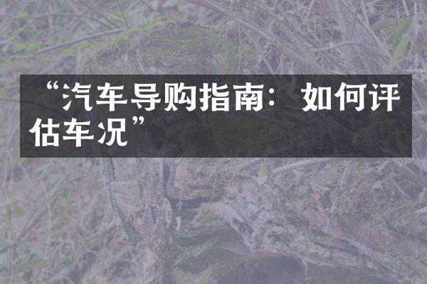 “汽车导购指南：如何评估车况”