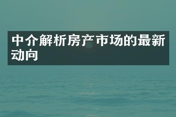 中介解析房产市场的最新动向