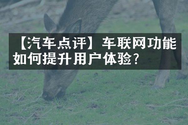 【汽车点评】车联网功能如何提升用户体验？