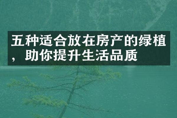 五种适合放在房产的绿植，助你提升生活品质