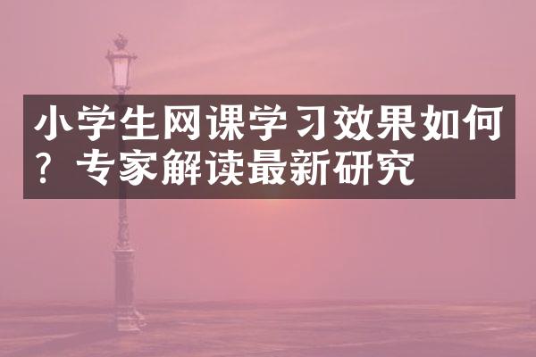 小学生网课学习效果如何？专家解读最新研究