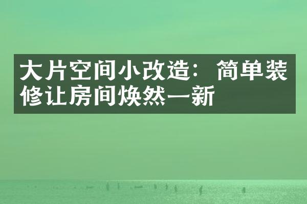 大片空间小改造：简单装修让房间焕然一新