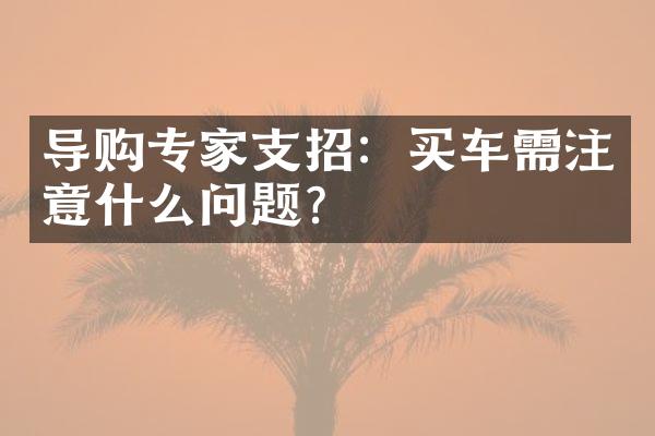 导购专家支招：买车需注意什么问题？