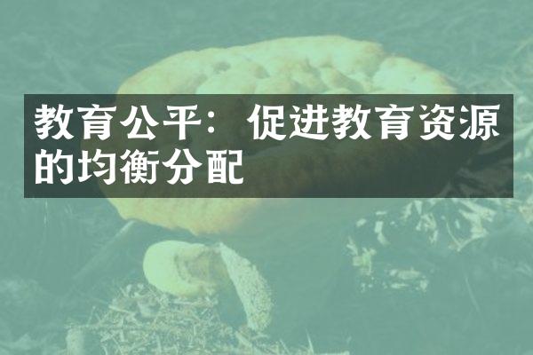 教育公平：促进教育资源的均衡分配