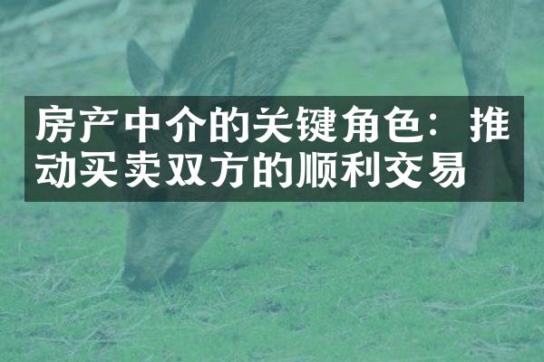 房产中介的关键角色：推动买卖双方的顺利交易