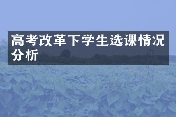 高考下学生选课情况分析