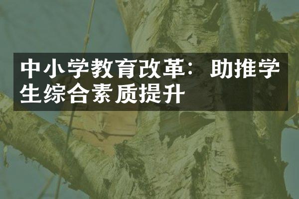 中小学教育改革：助推学生综合素质提升