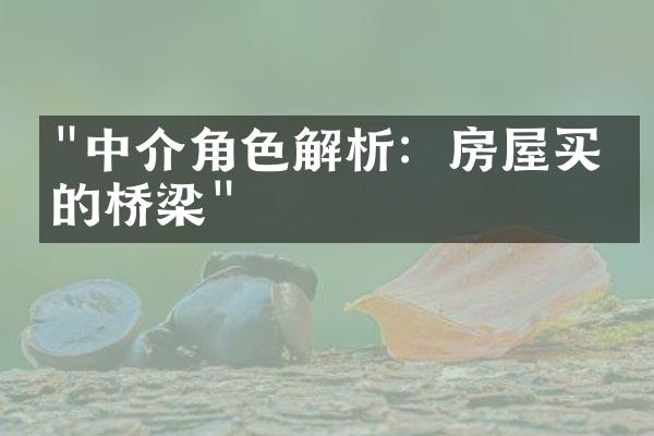 "中介角色解析：房屋买卖的桥梁"