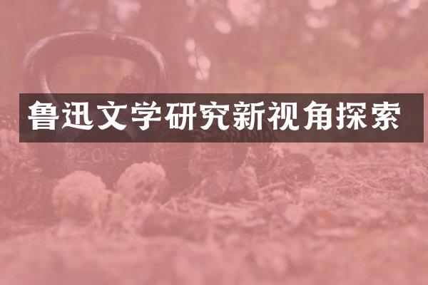 鲁迅文学研究新视角探索