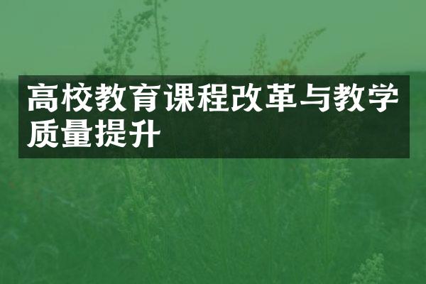 高校教育课程改革与教学质量提升