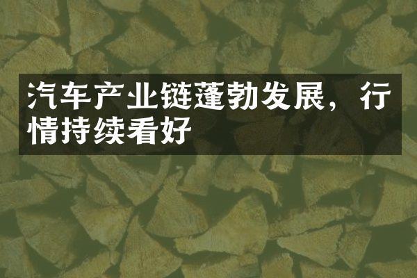 汽车产业链蓬勃发展，行情持续看好