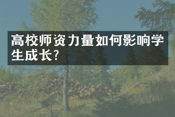 高校师资力量如何影响学生成长？