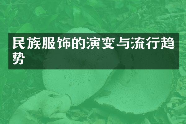 民族服饰的演变与流行趋势