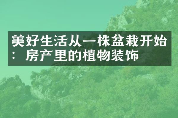 美好生活从一株盆栽开始：房产里的植物装饰