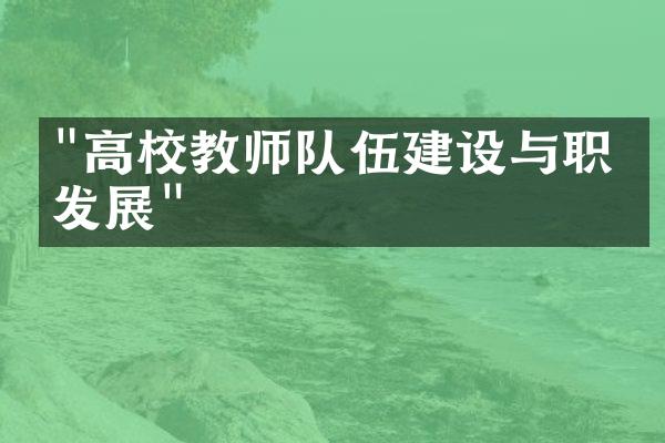 "高校教师队伍建设与职业发展"