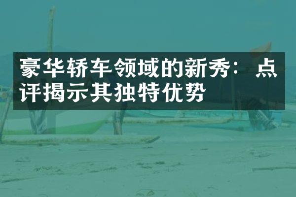 豪华轿车领域的新秀：点评揭示其独特优势