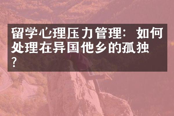 留学心理压力管理：如何处理在异国他乡的孤独感？