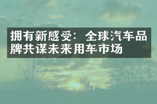 拥有新感受：全球汽车品牌共谋未来用车市场