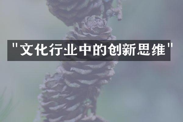 "文化行业中的创新思维"