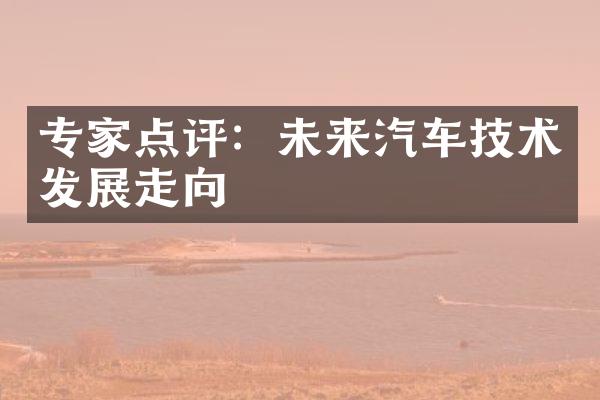 专家点评：未来汽车技术发展走向