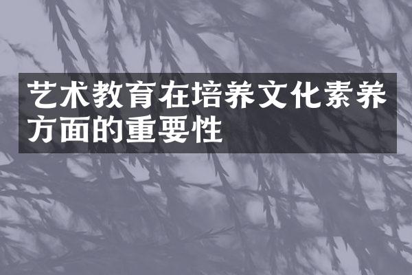 艺术教育在培养文化素养方面的重要性