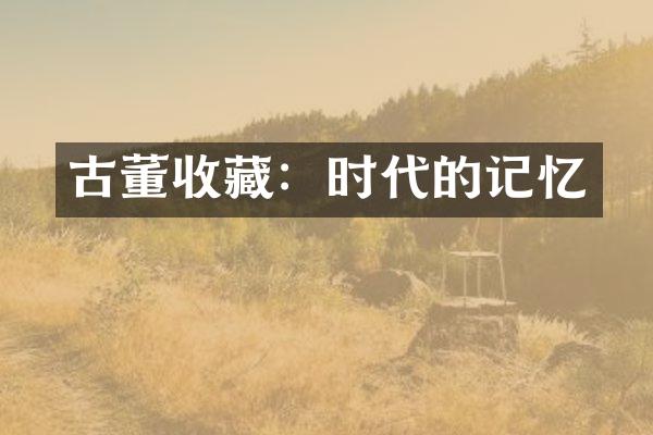 古董收藏：时代的记忆