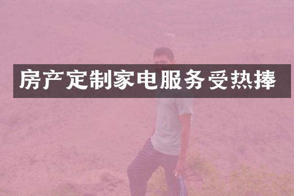 房产定制家电服务受热捧