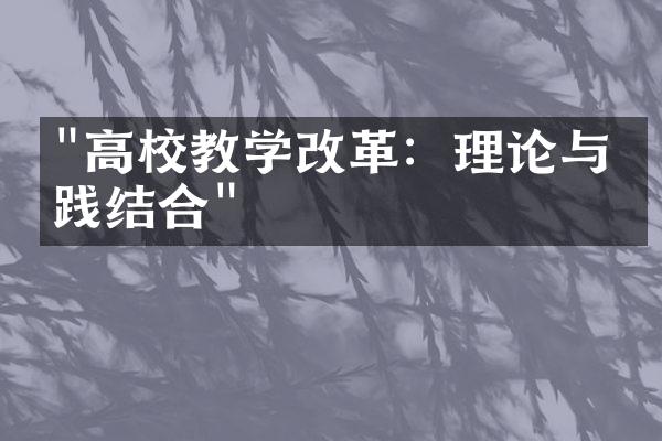 "高校教学改革：理论与实践结合"