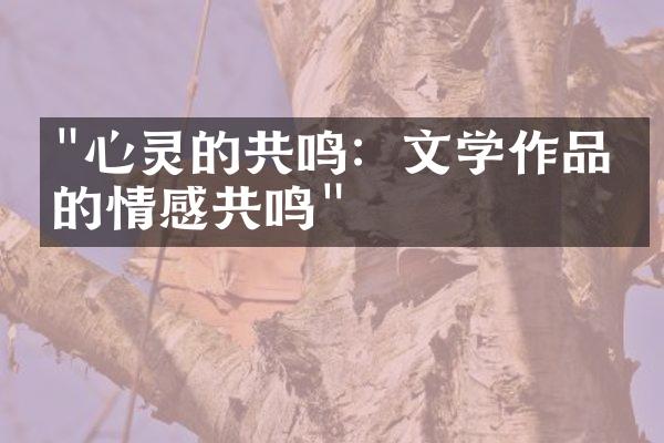 "心灵的共鸣：文学作品中的情感共鸣"