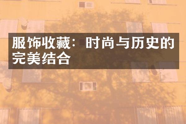 服饰收藏：时尚与历史的完美结合